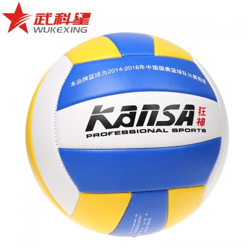Ballon de volley - Ref 2010327