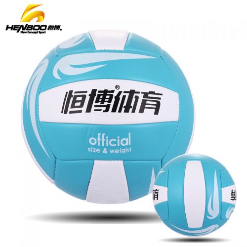 Ballon de volley - Ref 2010343