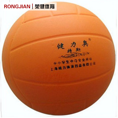 Ballon de volley - Ref 2010348