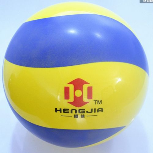 Ballon de volley - Ref 2010351