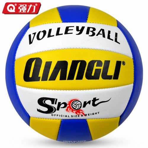 Ballon de volley - Ref 2010369