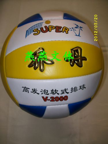 Ballon de volley - Ref 2010377