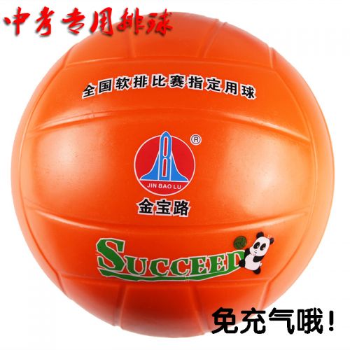 Ballon de volley - Ref 2010392
