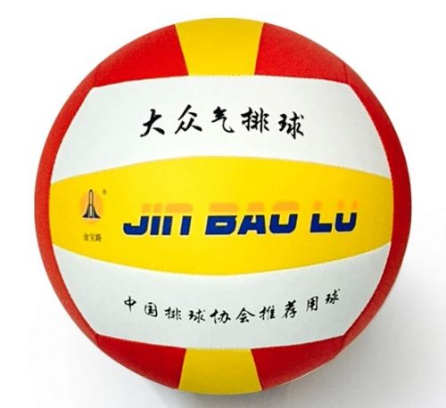 Ballon de volley - Ref 2010411