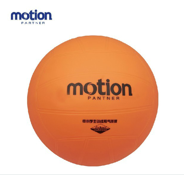 Ballon de volley - Ref 2010429
