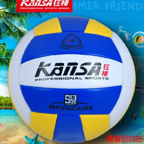 Ballon de volley - Ref 2010439