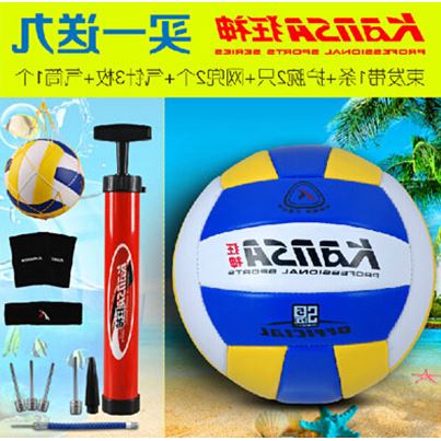Ballon de volley - Ref 2010441