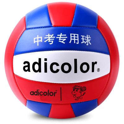 Ballon de volley - Ref 2010463