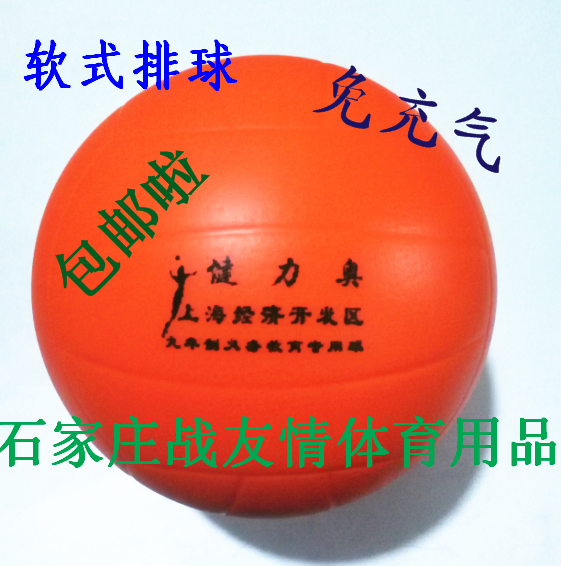 Ballon de volley - Ref 2010465