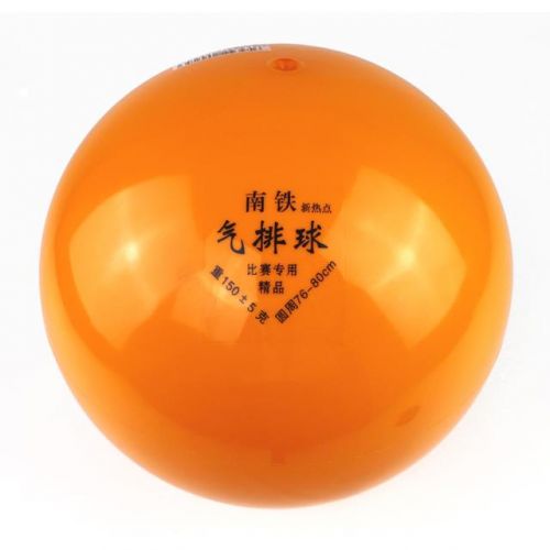 Ballon de volley - Ref 2010466
