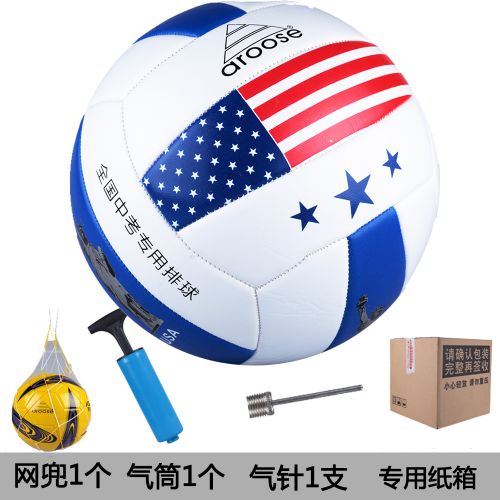 Ballon de volley - Ref 2010470