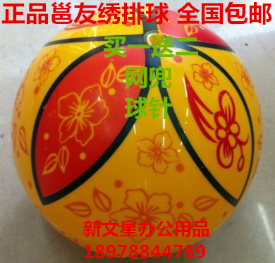 Ballon de volley - Ref 2010480