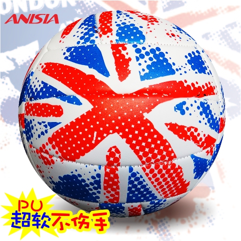 Ballon de volley ANISIA - Ref 2010485