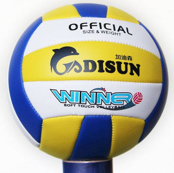 Ballon de volley - Ref 2010506
