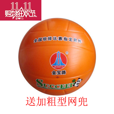 Ballon de volley - Ref 2010512
