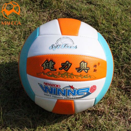 Ballon de volley - Ref 2010518