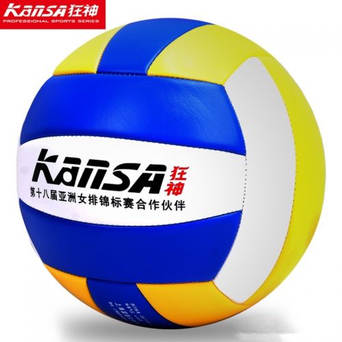 Ballon de volley - Ref 2010528