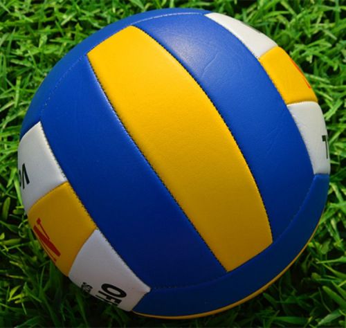 Ballon de volley - Ref 2010530