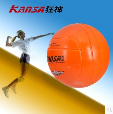 Ballon de volley - Ref 2010536
