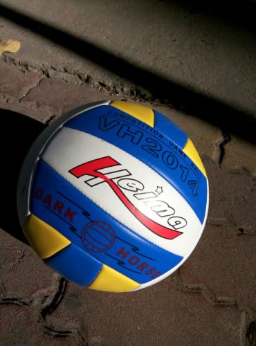 Ballon de volley - Ref 2010543