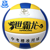 Ballon de volley - Ref 2010544