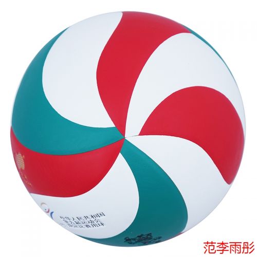 Ballon de volley TRAIN - Ref 2010547