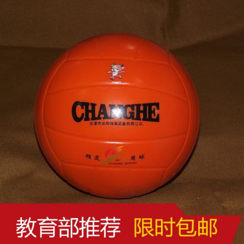 Ballon de volley - Ref 2010595