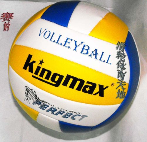 Ballon de volley - Ref 2010608