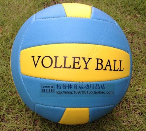 Ballon de volley - Ref 2010610