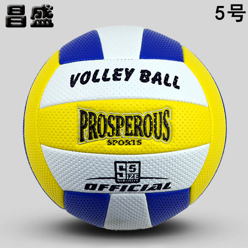 Ballon de volley - Ref 2010615