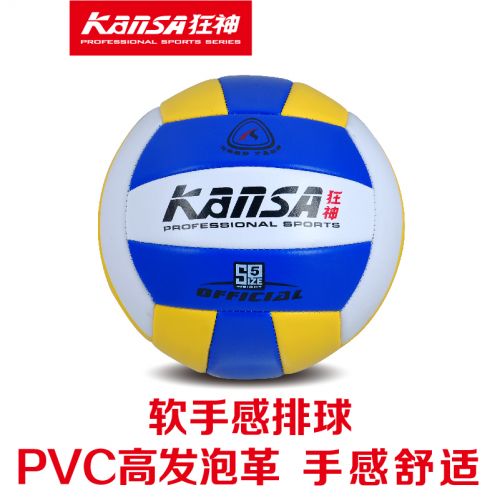 Ballon de volley - Ref 2010618