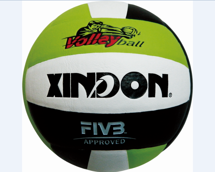 Ballon de volley - Ref 2010624