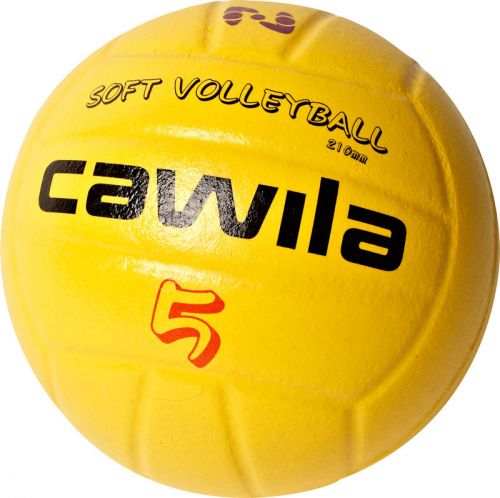 Ballon de volley - Ref 2010631