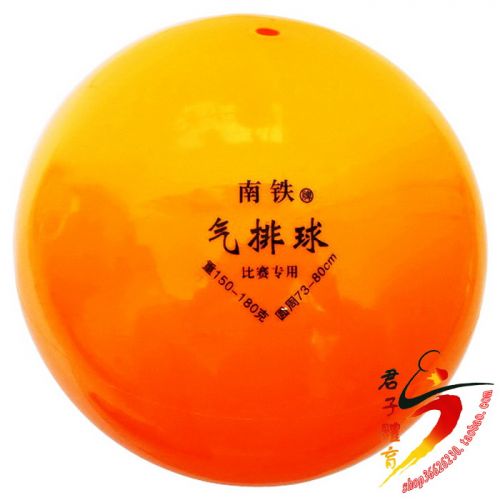 Ballon de volley - Ref 2010656