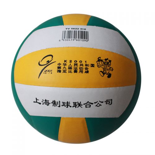 Ballon de volley TRAIN - Ref 2010675