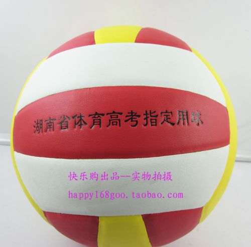 Ballon de volley - Ref 2010689