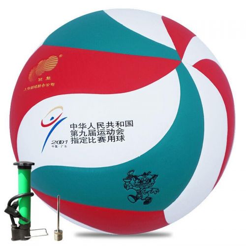 Ballon de volley - Ref 2010702