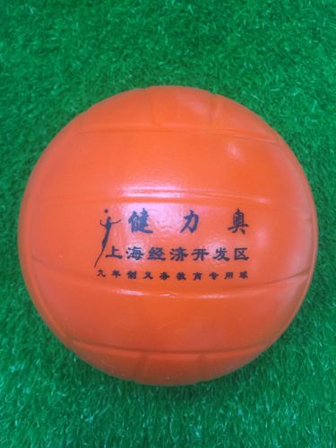 Ballon de volley - Ref 2010716
