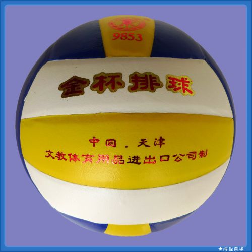 Ballon de volley - Ref 2010728