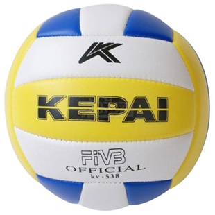 Ballon de volley - Ref 2010729