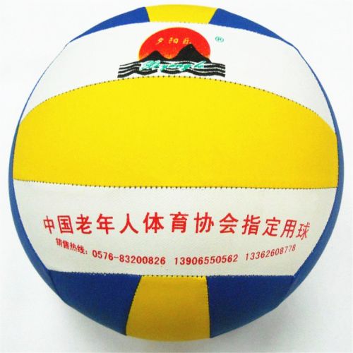 Ballon de volley - Ref 2010745