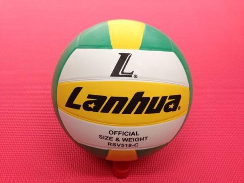 Ballon de volley - Ref 2010750