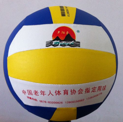 Ballon de volley - Ref 2010770