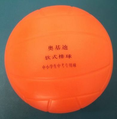 Ballon de volley - Ref 2010806