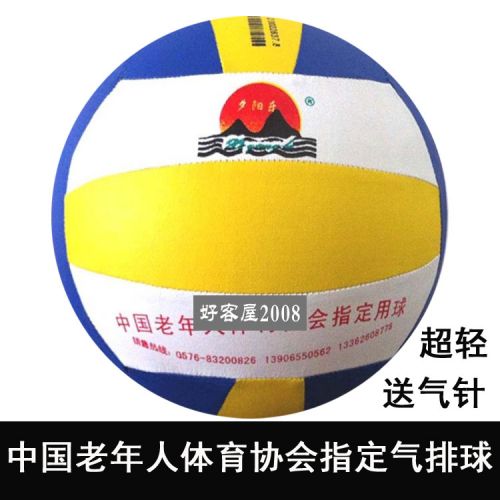 Ballon de volley - Ref 2010809