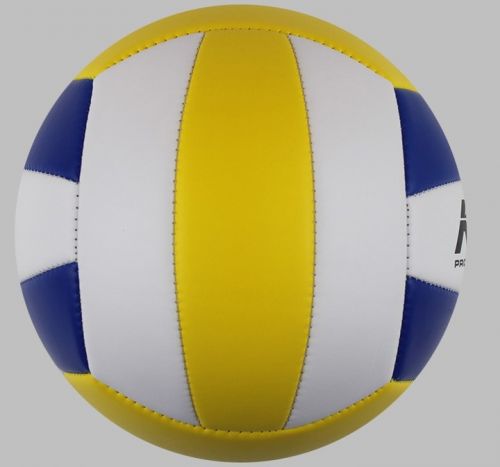 Ballon de volley - Ref 2010814