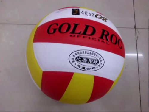 Ballon de volley - Ref 2010816