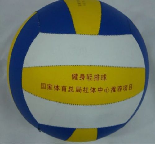 Ballon de volley - Ref 2010821