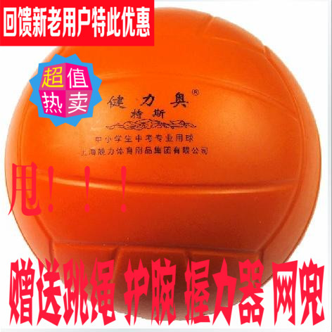Ballon de volley - Ref 2010823