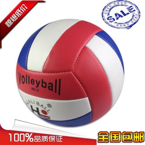 Ballon de volley - Ref 2010838